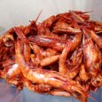 African Beauty Smoked Prawns (dried)