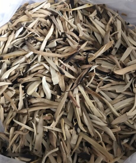 Ugba (dried)