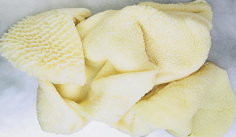 Beef tripe