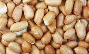 Groundnut / Peanut