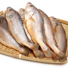 Yellow Croaker 800/1000gm (Chef's Quality) Frozen