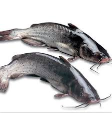 Catfish Whole (Frozen)