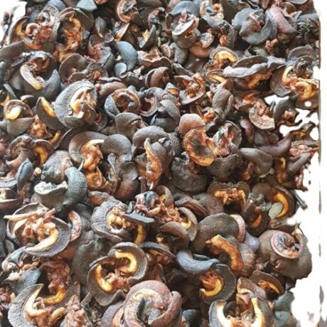 Apple Snail Meat (frozen)