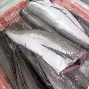 HAKE FROZEN FISH