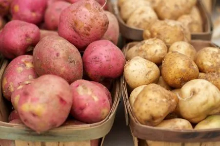 Sweet Potatoes  (Red or White)