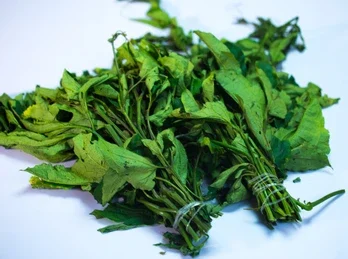 FRESH UGU LEAVES