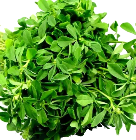 Water leaf (Fresh)