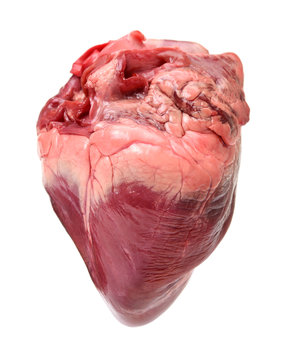 Heart (frozen)