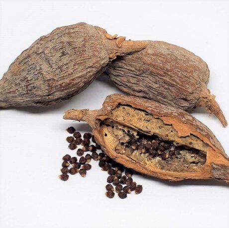 Alligator Pepper (150g)